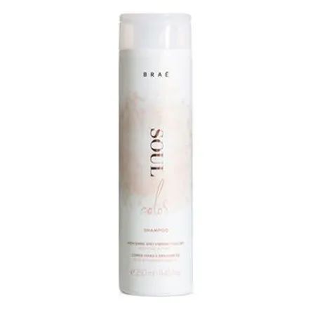 Shampoo BRAÉ Soul Color 250ml