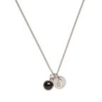 Colar de Aço Prata Key Design Signo Leão – miniatura 1