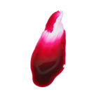Lip Tint Dailus Batida de Amora – miniatura 3