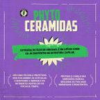 Shampoo Silver Lola From Rio Brancos & Grisalhos 250ml – miniatura 5